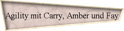 Agility mit Carry, Amber und Fay