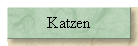 Katzen