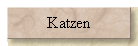 Katzen
